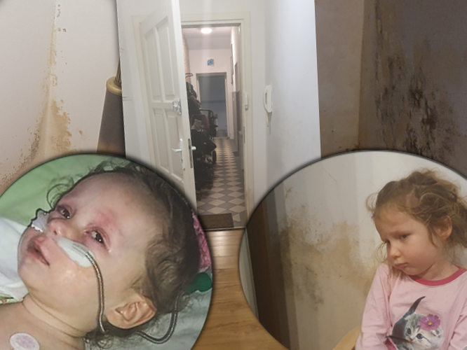 Marlena Sabanty - main photo