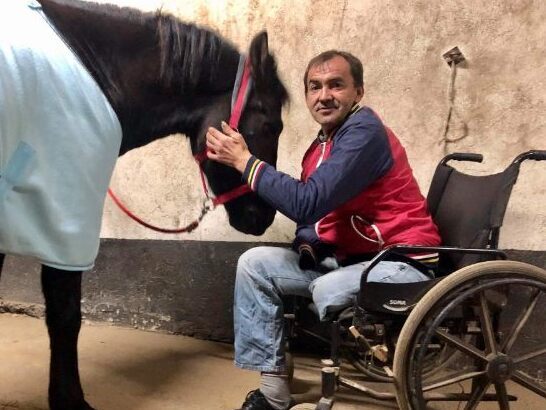 Adam Majewski - main photo