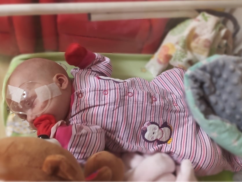 Róża Liwandowska - zdjęcie główne