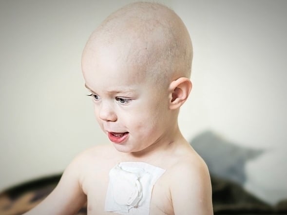 Iga Izenberg - main photo