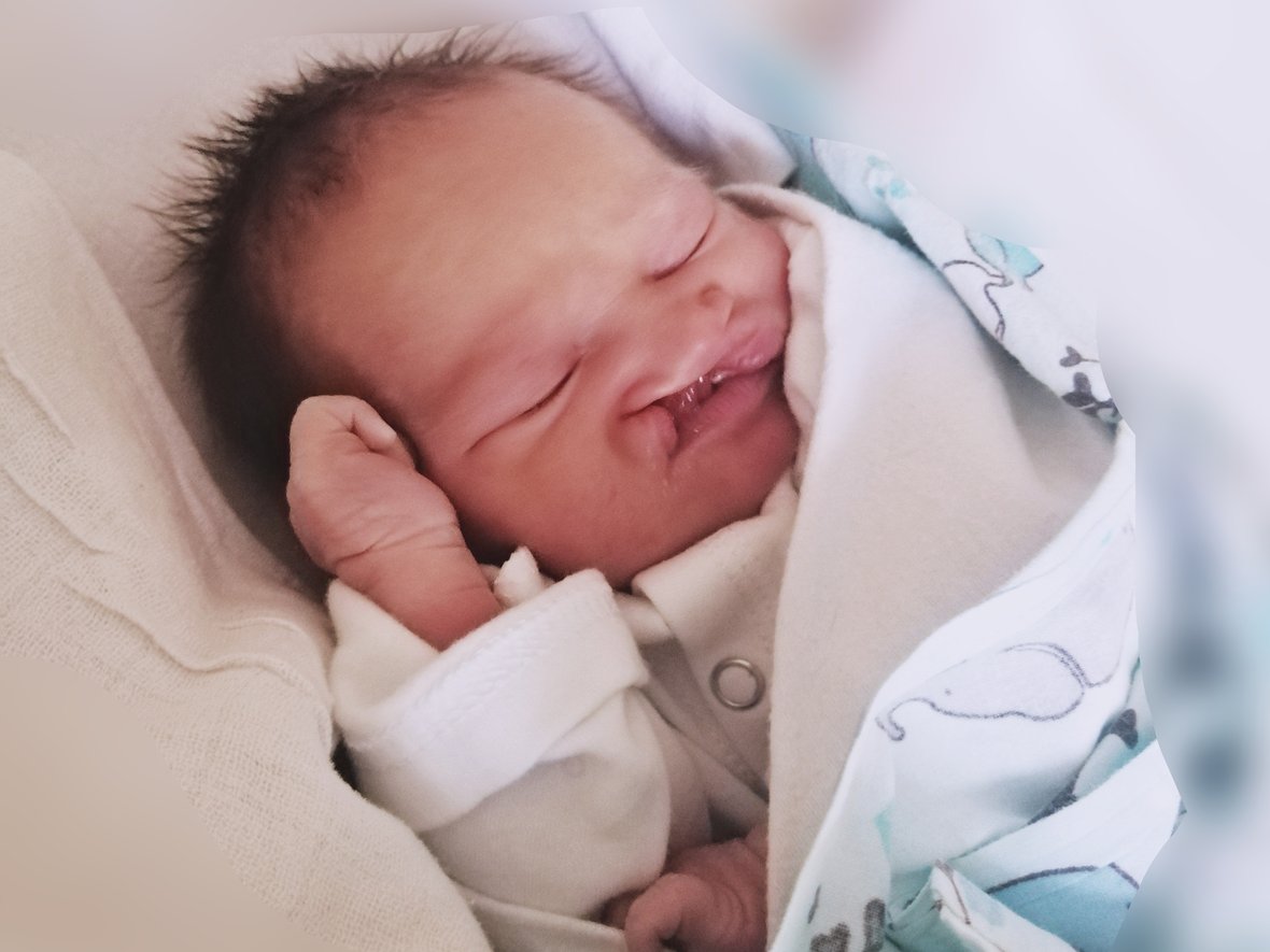 Michalinka Pulut - zdjęcie główne