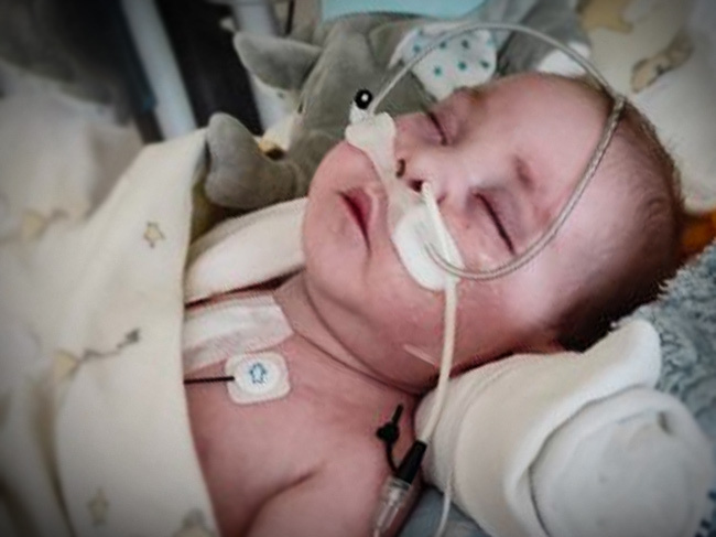 Marcel Kapela - main photo