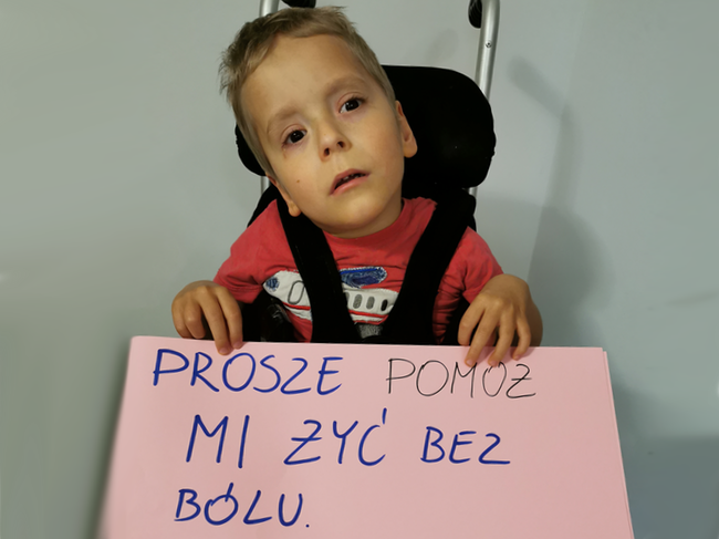 Stefan i&nbsp;Ignacy Gut - zdjęcie główne