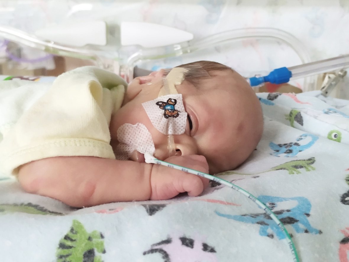 Kacperek Śliwa - zdjęcie główne