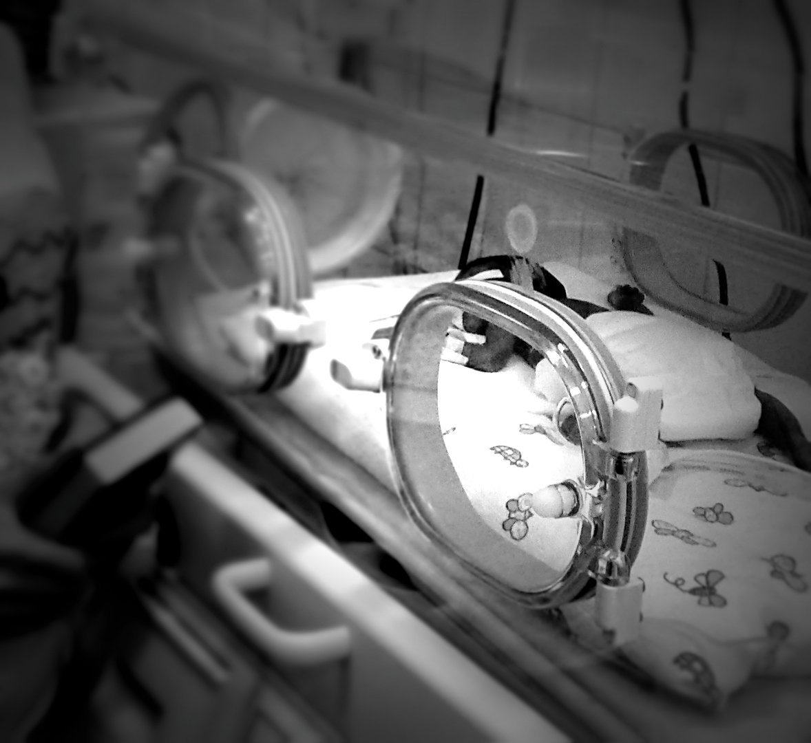 Tetiana Yaryna - zdjęcie główne