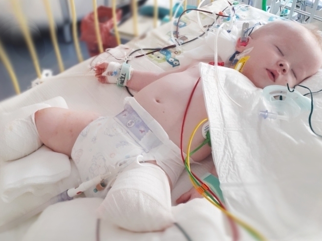 Sylwek Wydra - main photo