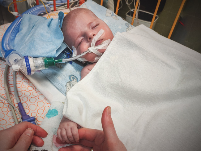 Kubuś Zwierzchowski - zdjęcie główne