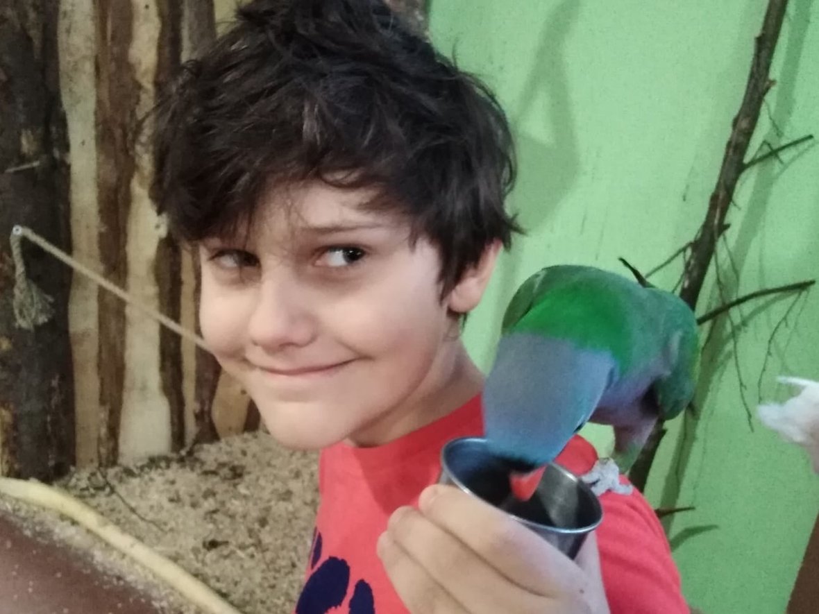 Jan Tomaszewski - zdjęcie główne