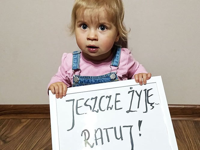 Julia Kierzkowska - zdjęcie główne