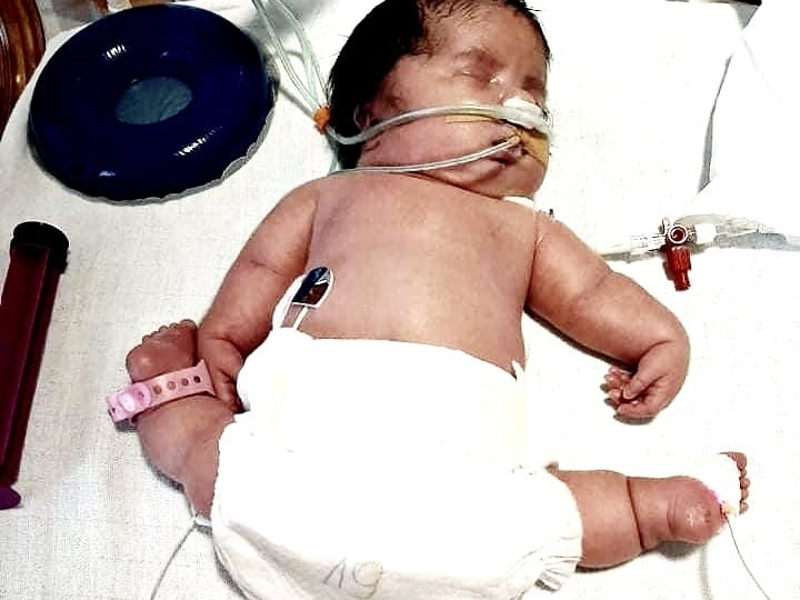 Helenka Kulczyk - zdjęcie główne