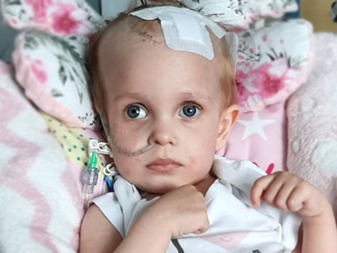 Pola Paluszek - main photo