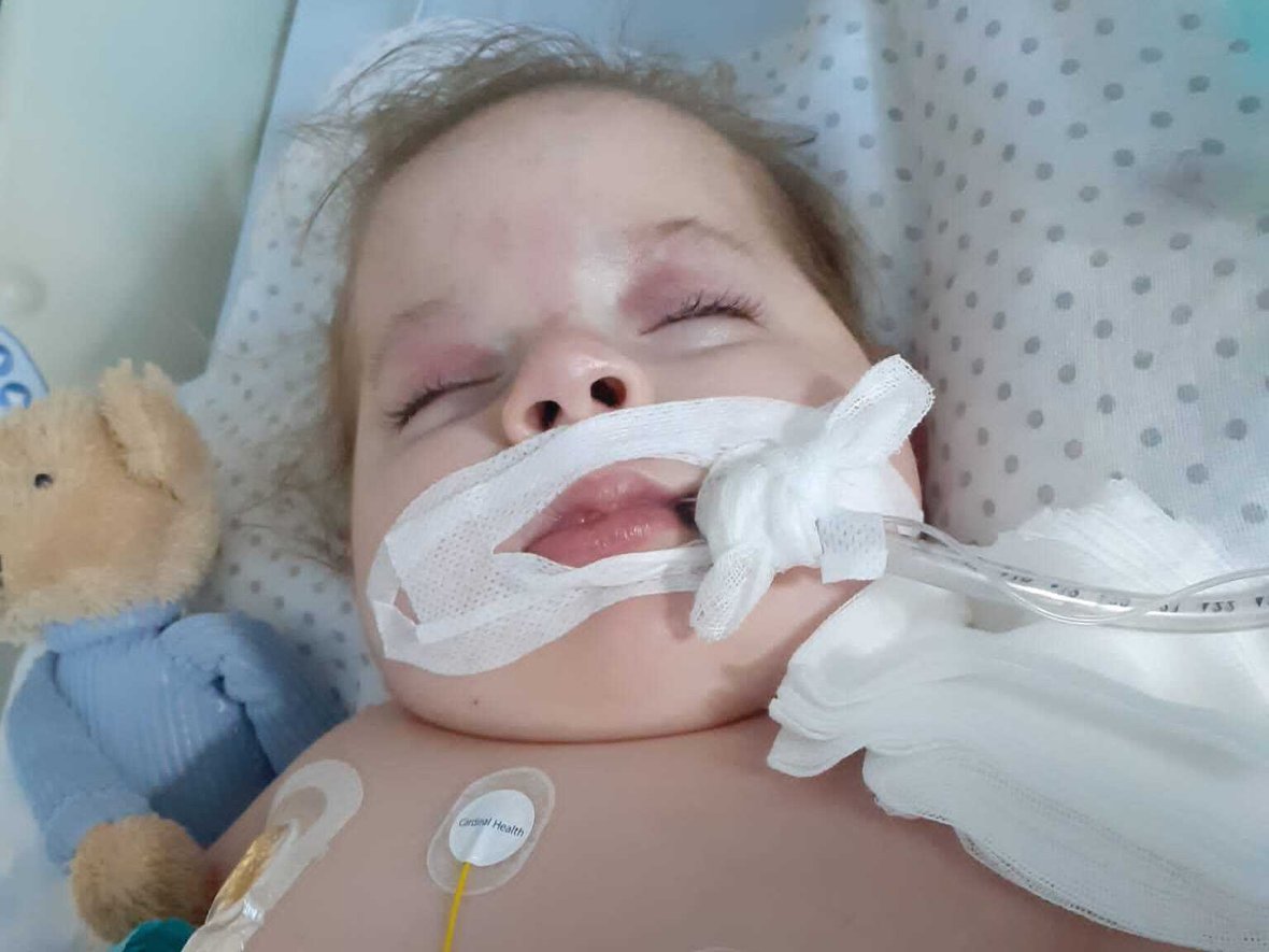 Łucja Petryla - main photo