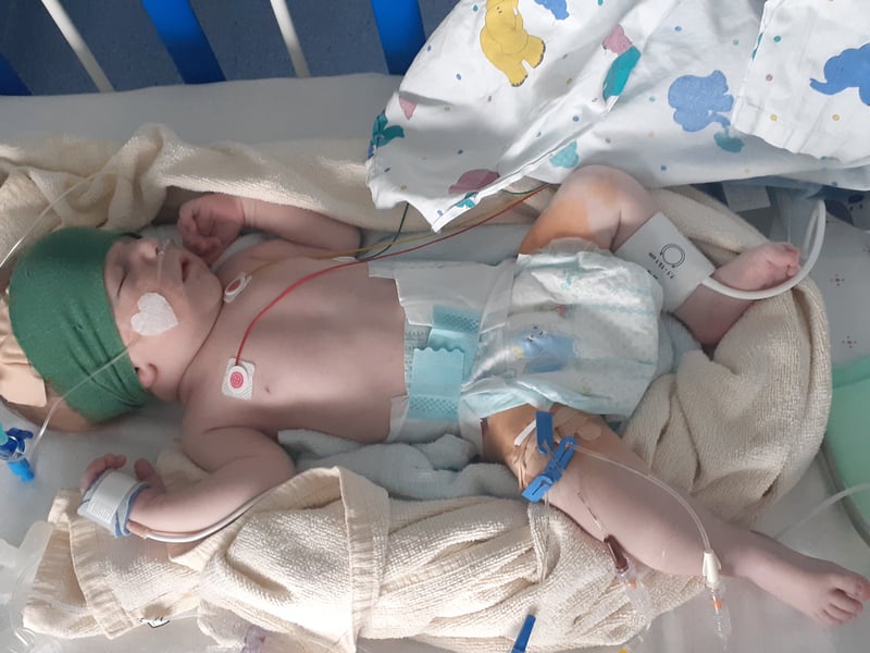 Franek Zembrzucki - zdjęcie główne