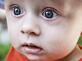 Leon Kot - zdjęcie główne