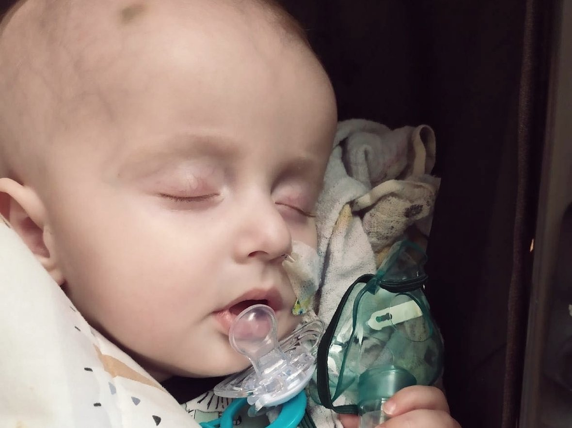 Piotr Talarek - zdjęcie główne