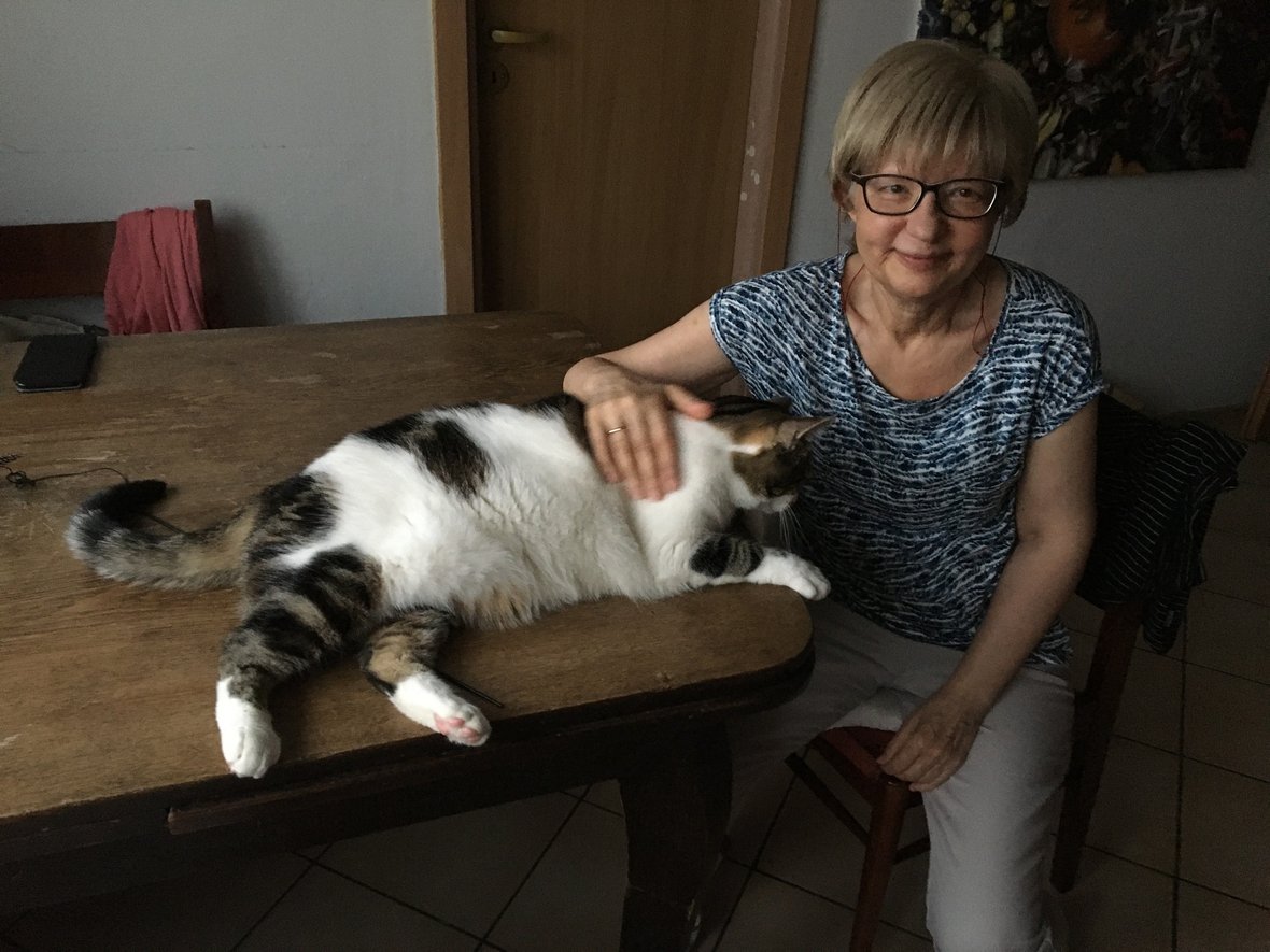 Małgorzata Kozik - zdjęcie główne