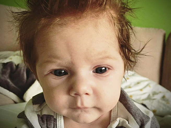 Aleksander Budzik - zdjęcie główne