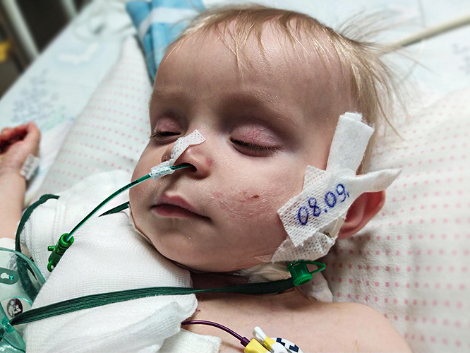 Maja Michocka - zdjęcie główne