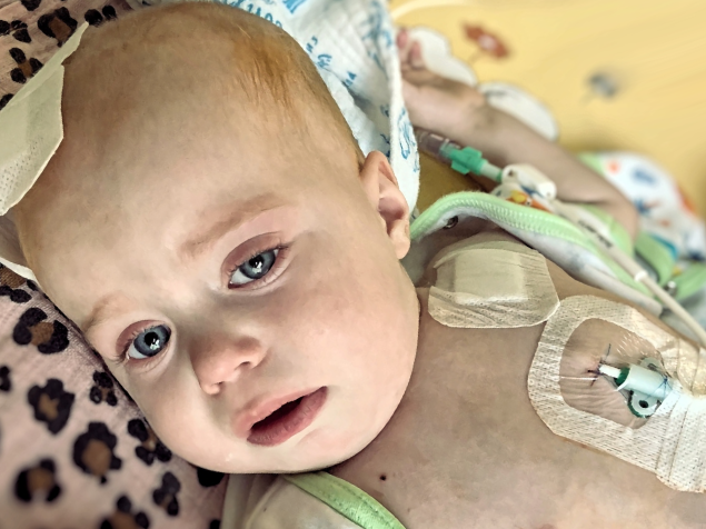 Ariana Wasiak - zdjęcie główne