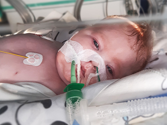 Lilianka Drobny - zdjęcie główne