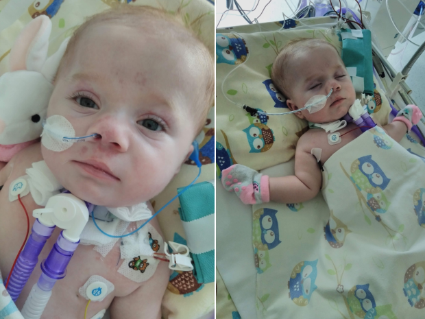 Zofia Nowek - zdjęcie główne