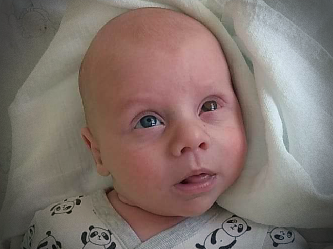 Igor Sinkiewicz - main photo