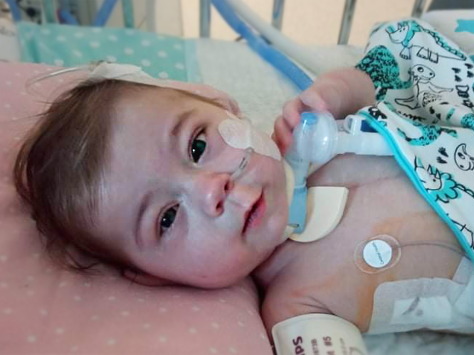 Wiktor Zawadzki - main photo