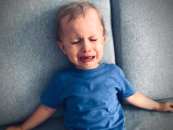 Aleksander Polak - zdjęcie główne