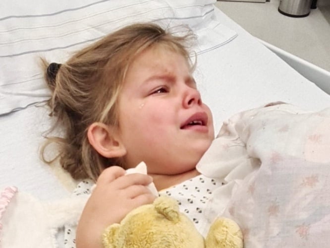 Nina Greber - zdjęcie główne