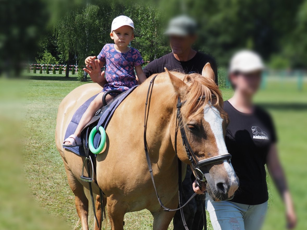 Nina Selega - main photo