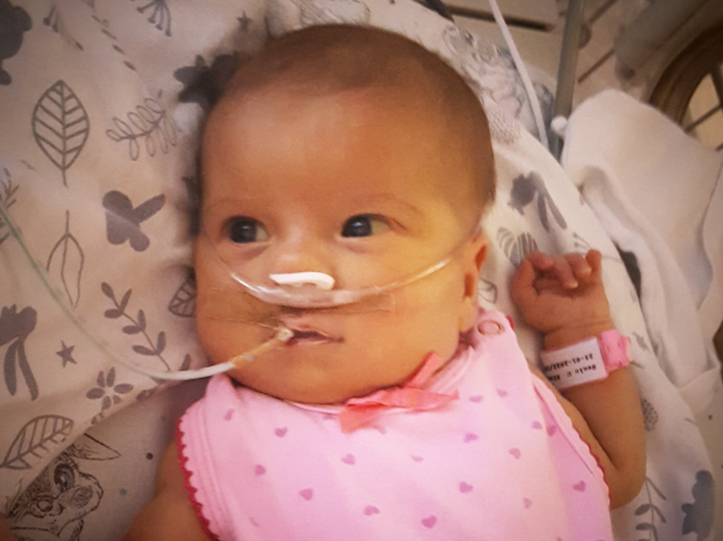 Pola Szulc - zdjęcie główne