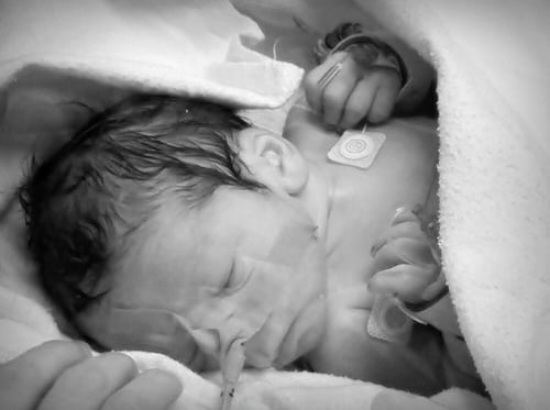 Wojciech Portasiak - main photo