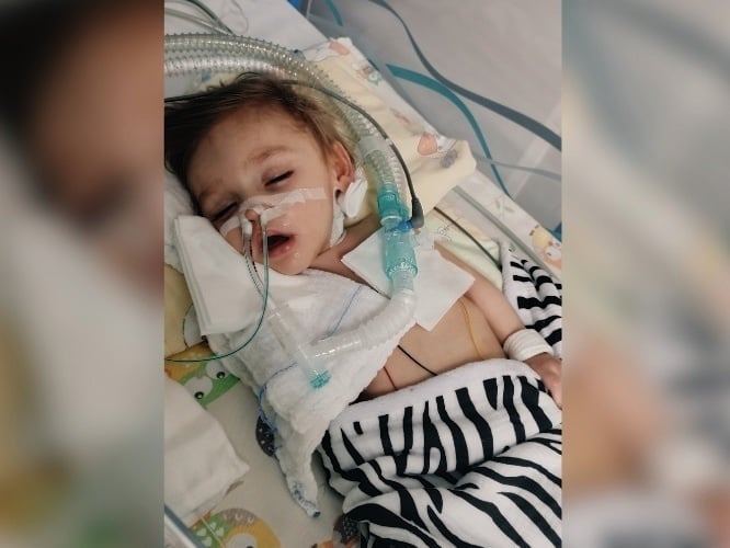 Natan Rajchel - main photo