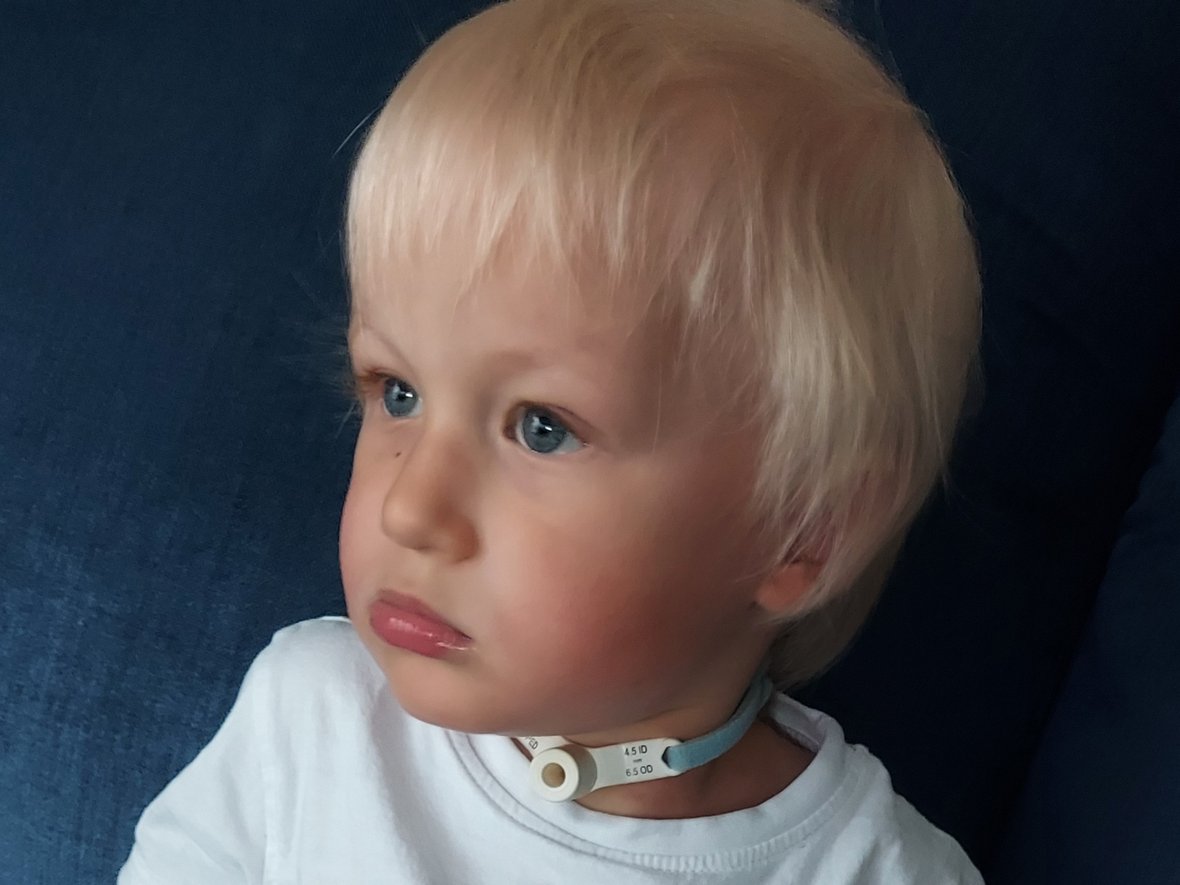 Aleksander Gałązka - zdjęcie główne