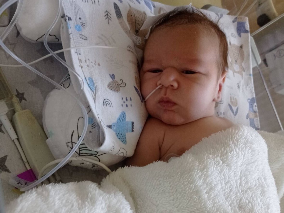 Wasil Reus - zdjęcie główne