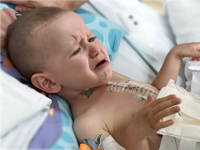 Maksymilian Palac - zdjęcie główne