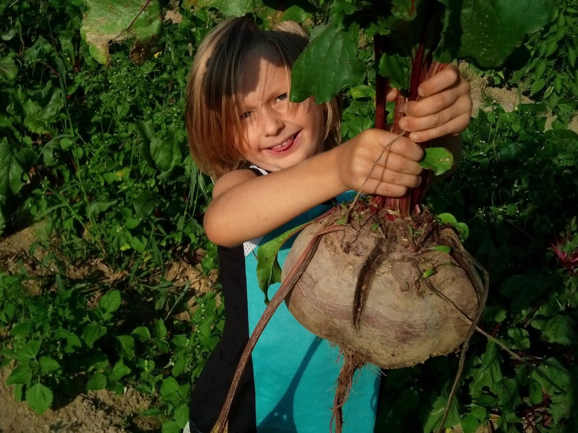 Kajetan Wal - zdjęcie główne