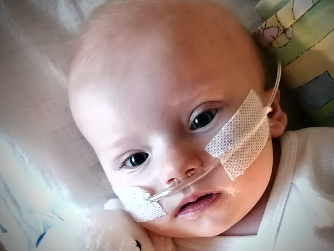 Anastazja Nocula - main photo