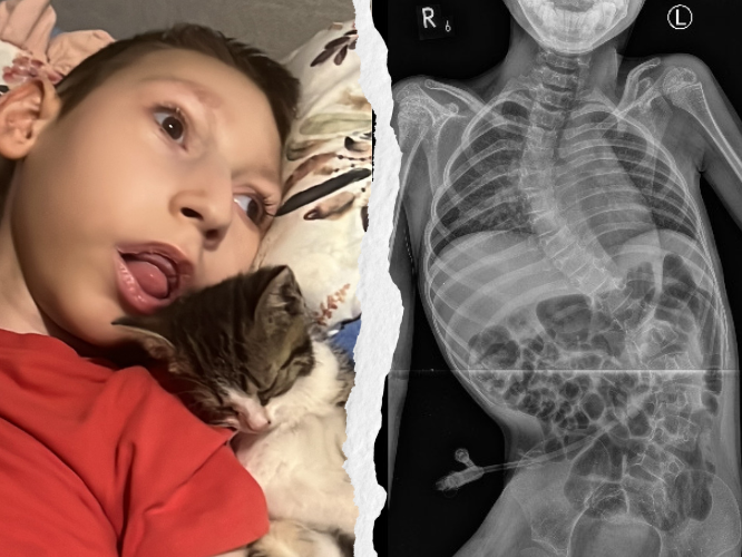 Fabian Waliszewski - zdjęcie główne