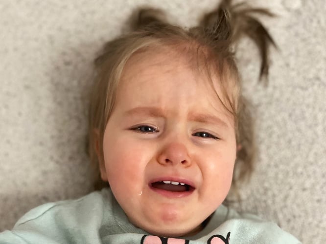 Helena Wałaszczyk-Sobczyk - zdjęcie główne