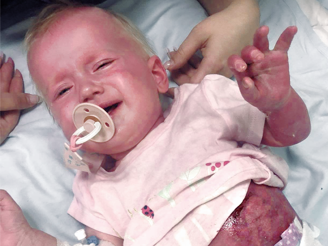 Gaja Grzegorczyk - zdjęcie główne