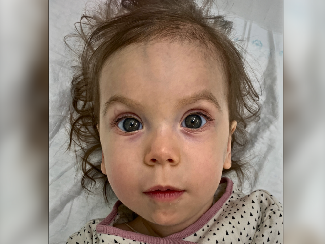 Alisa Shevchyk - zdjęcie główne