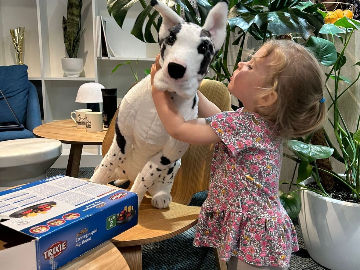 Psiaki i przedszkolaki. Daj piątaka na szkolenie przedszkolaka - zdjęcie główne