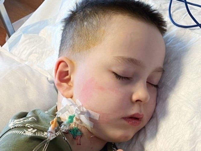 Bruno Szynkowski - zdjęcie główne