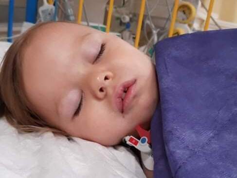 Maja Gorzula - main photo