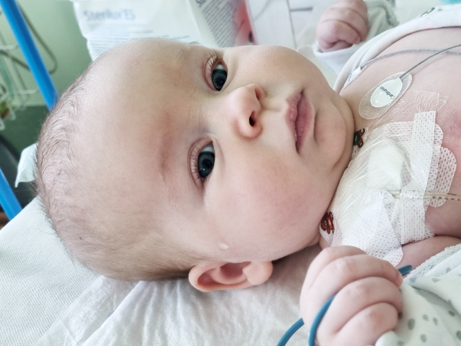 Gaja Butkiewicz - zdjęcie główne