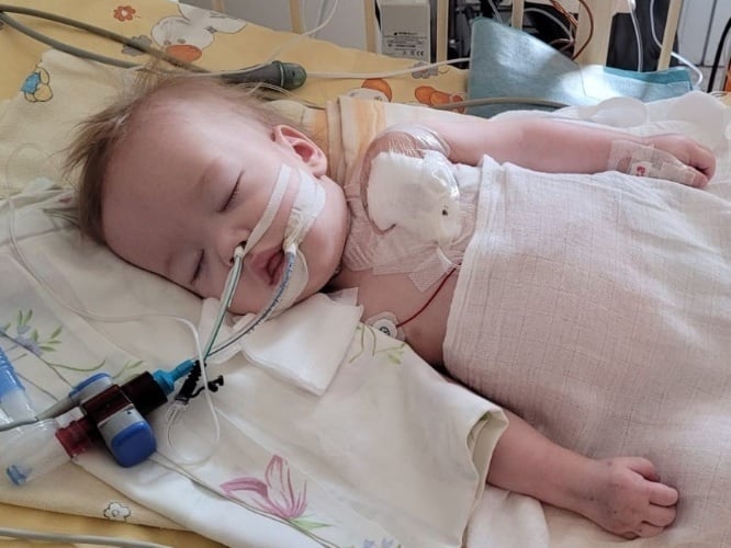 Olafek Rogowski - zdjęcie główne