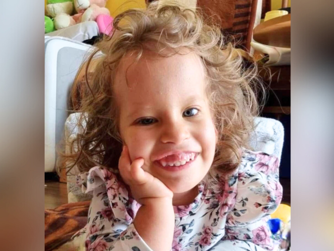 Nikola Sulich - zdjęcie główne