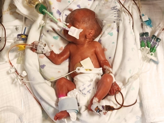 Julcia Król - zdjęcie główne