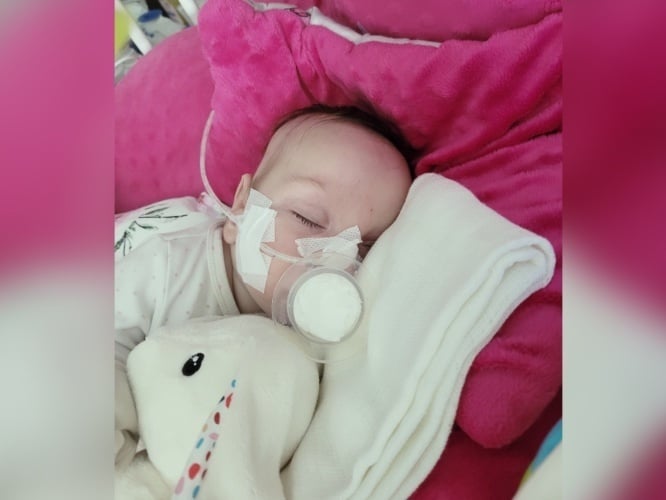 Różyczka Nowicka - zdjęcie główne